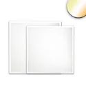 LED Panel Backlight Line 625, 36W 3000/4000/6000K (ColorSwitch), CRI 90, UGR<19 8H/8H, schhaltbar