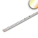 LED Platine Backlight 825/855, IP20, 117.5cm, 24V, 8W+8W 2500-5000K (Tunable White) 1750lm, 180° Linse zur Hinterleuchtung