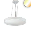LED Hängeleuchte DN800 UP&DOWN, 70W+6W, 2700|3000|4000K, 8850lm, UGR<19, 2H, IP44, DALI dimmbar, weiß