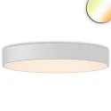 LED Deckenleuchte DN1000 PHASE, IP44, Ø 100cm, 80/100W (multi) 2700-4000K (CCT-Switch) 12000lm 100°, UGR<19, dimmbar, weiß