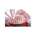  KapegoLED Flexibler LED Strip SMD 5050, 24V, 65W, weiß, breite 10