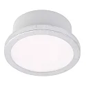 Deckenleuchte AQUA UNO, IP44, inkl. GX53 rund, Ø 11.2cm, 6W 2700/4000K (CCT Switch) 400lm 110°, blattsilber