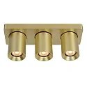 Lucide LED Deckenstrahler NIGEL, GU10, 3x5W 2200K/3000K, dimmbar, Gold matt, messing