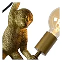 Lucide 