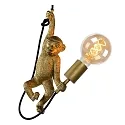 Lucide Pendelleuchte EXTRAVAGANZA CHIMP, Ø 17,6 cm, 1xE27, schwarz