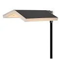 Lucide floor lamp AARON LED IP20, black dimmable