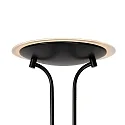 Lucide floor lamp CHAMPION LED round, flexible IP20, black dimmable