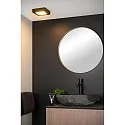 LED Deckenleuchte BRICE Badleuchte, 1x15W, 3000K, IP44, eckig, dimmbar, schwarz