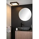 LED Deckenleuchte BRICE Badleuchte, 1x30W, 3000K, IP44, eckig, dimmbar, schwarz