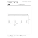 Lucide pendant luminaire TEUN 4 flames E27 IP20, nickel, black