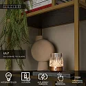 Lucide LED-Akku-Tischleuchte LILY, 3 Leuchten, IP20, Ø 8cm, 3W 2700K 80lm, Touch-Dimmer + USB-C Kabel, Acrylglas, Kupfer matt