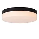 Lucide ceiling luminaire BISKIT 28 IP44, opal, black 