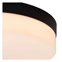 Lucide ceiling luminaire BISKIT 40 IP44, opal, black 