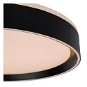 Lucide LED Deckenleuchte NURIA, Ø 40 cm, 1x24W, 2700K, dimmbar, schwarz