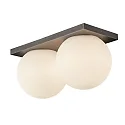 Lumexx LED Decken-/ Wandleuchte PALLA DOUBLE Ø 13,5cm 22,9W DTW 1800-3000K 1415lm CRI>90 IP20, titan