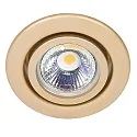 Einbaustrahler DOWNLIGHT C 3840, Ø 7cm, schwenkbar, Gold
