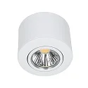nobilé LED Downlight A 5068 AUFBAU, IP40, AMP 230V, CRi >90, inkl. BG, schwenkbar, dimmbar C, 9.5W 3000K 38°, Chrom matt