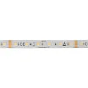 LED Strip 5050 RGB+WW/CW SMD - 5M / 12MM RGBW white