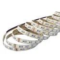 nobilé LED Strip SMD 5050 RGB+WW/CW, IP20, 24V DC, 60 LED/m, 4.8-24W/m (Multi) RGB/3000/6000K 120°, dimmbar, 500cm / 1.2cm