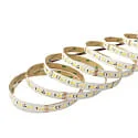 nobilé LED Strip SMD 2835 SCCT MP - 5M / 12MM CCT Switch, multipower white