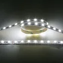 LED Strip Flexible LED SMD 5050, IP20, 24V 14.4W/m, 6500K, 500cm, dimmbar