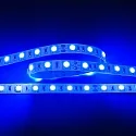 LED Strip Flexible LED SMD 5050, IP20, 24V 14.4W/m, BLAU, 500cm, dimmbar