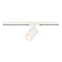 Spot RONDIE für Stromschiene LINK, GU10, IP20