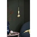 Nordlux Pendant luminaire PACO, 1 flame, E27, brass