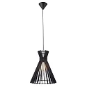 Pendant luminaire GROA 35, E27, black