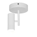 spot JEROME GU10 IP20, white dimmable