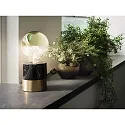 Paulmann LED Deko-Filament G95 Kopfspiegel GOLD, Ø 9.5cm, 230V, E27, 6.5W 2700K 600lm, dimmbar