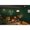 Paulmann LED Deko-Filament G95 Kopfspiegel SCHWARZCHROM, Ø 9.5cm, 230V, E27, 6.5W 2700K 600lm, dimmbar
