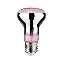 LED Wachstumslicht-Filament / Grow Green Reflektor R63, 230V, E27, 6.5W 1300K 200lm 106°