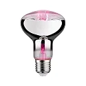 LED Wachstumslicht-Filament / Grow Green Reflektor R80, 230V, E27, 6.5W 1300K 200lm 60°