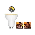 LED Reflector lamp, 230V, GU10, 6W 1800-3000K 350lm 800cd 36°, dim-to-warm , white