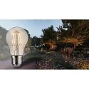 Paulmann LED Filamentlampe Birnenform A55, 230V, E27, 4.3W 2200K 420lm, Goldlicht insektenfreundlich, schaltbar, Glas, klar