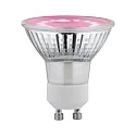 LED Reflektorlampe PLANT, 110°, GU10, 3,5W, 1100K, 95lm, 230V
