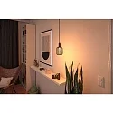 Paulmann LED filament lamp METALLIC GLOW CYLINDER HELIX switchable E27 3,5W 110lm 1800K CRI >80 