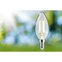 Paulmann filament lamp candle ECO-LINE CANDLE switchable P45 clear E14 2,5W 525lm 3000K 360° CRI >80  clear