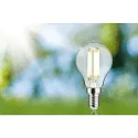 Paulmann filament lamp drop ECO-LINE DROP switchable P45 clear E14 4W 840lm 4000K 360° CRI >80  clear