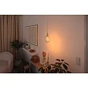 Paulmann LED Leuchtmittel METALLIC GLOW GLOBE, E27, 4W 1800K 180lm, 3-step dimmbar, Metallkorb, schaltbar, Messing