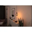 Paulmann LED Leuchtmittel METALLIC GLOW GLOBE, E27, 4W 1800K 160lm, 3-step dimmbar, Metallkorb, schaltbar, schwarz