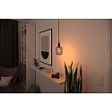 Paulmann LED Deko-Filament METALLIC GLOW ZYLINDER, E27, 4W 1800K 160lm, 3-step dimmbar, Metallkorb, schwarz