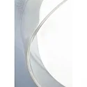 Paulmann wall and ceiling luminaire LUENA IP44, chrome, mat 