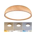 Paulmann LED Deckenleuchte / Badleuchte OKA, IP44, 24W 3000/4000/6500K (White Switch) 950lm, schaltbar, Holz hell