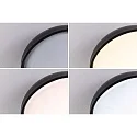 Paulmann bath luminaire OKA CCT Switch, switchable IP44, mat, black 