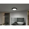 Paulmann LED Deckenleuchte / Badleuchte TEGA, IP44, 22.5W 3000/4000/6500K (White Switch) 1200lm, schaltbar, schwarz