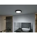 Paulmann LED Deckenleuchte / Badleuchte TEGA, IP44, 22.5W 3000/4000/6500K (White Switch) 1200lm, schaltbar, schwarz