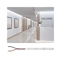 Paulmann LED Stripe PRO STRIP GOLD P75, 10m, 55W, 24V DC, 6500K, 790lm/m, IP20