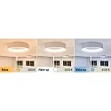 Paulmann ceiling luminaire HOMESPA CASCA LED large, CCT Switch IP44, white dimmable